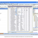 WEB matrica
